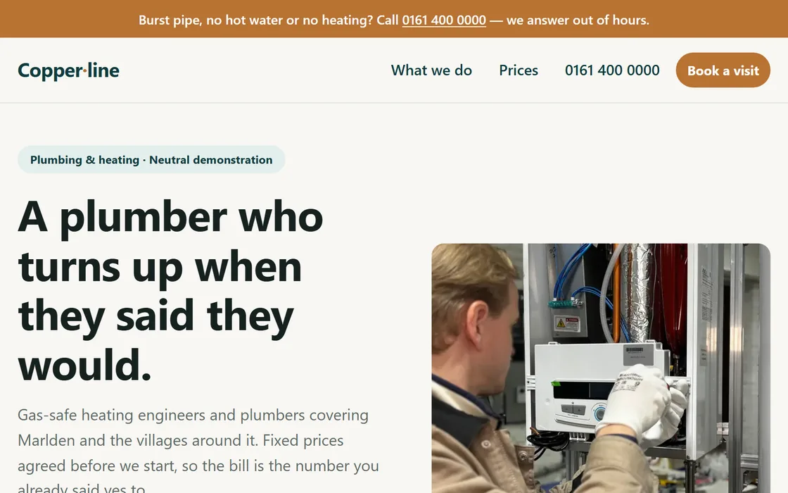 The Plumber & heating demo homepage, captured from the running site