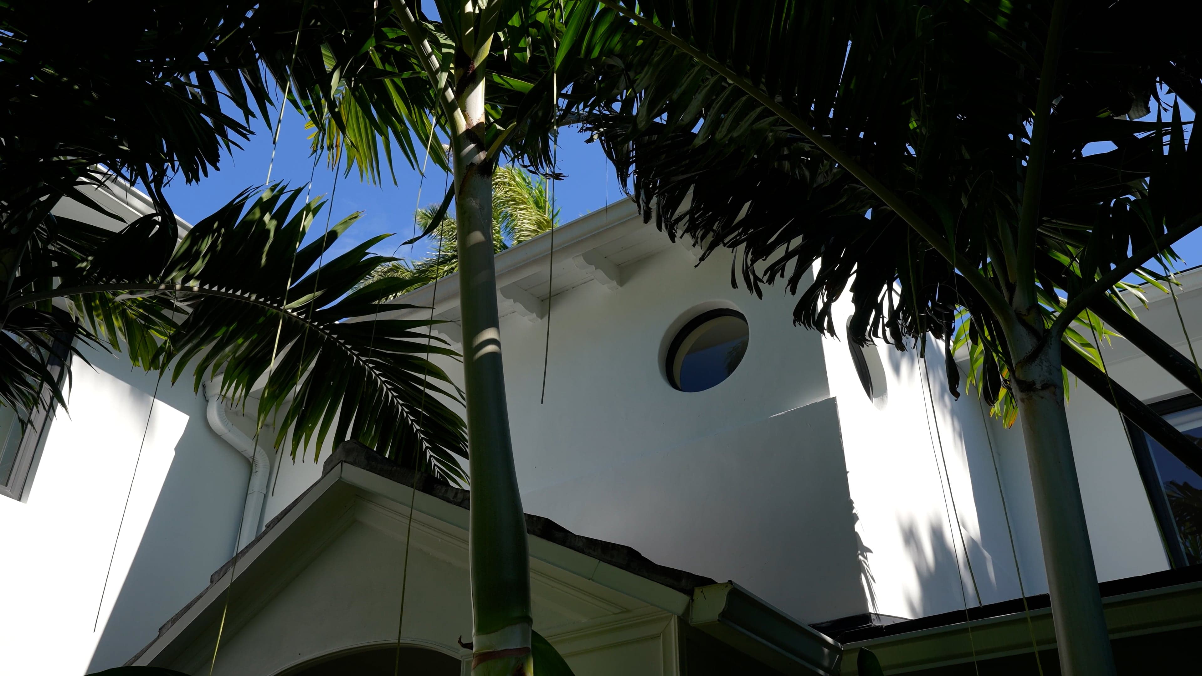 Estate Atelier property walkthrough preview showing a modern courtyard residence beneath palm leaves