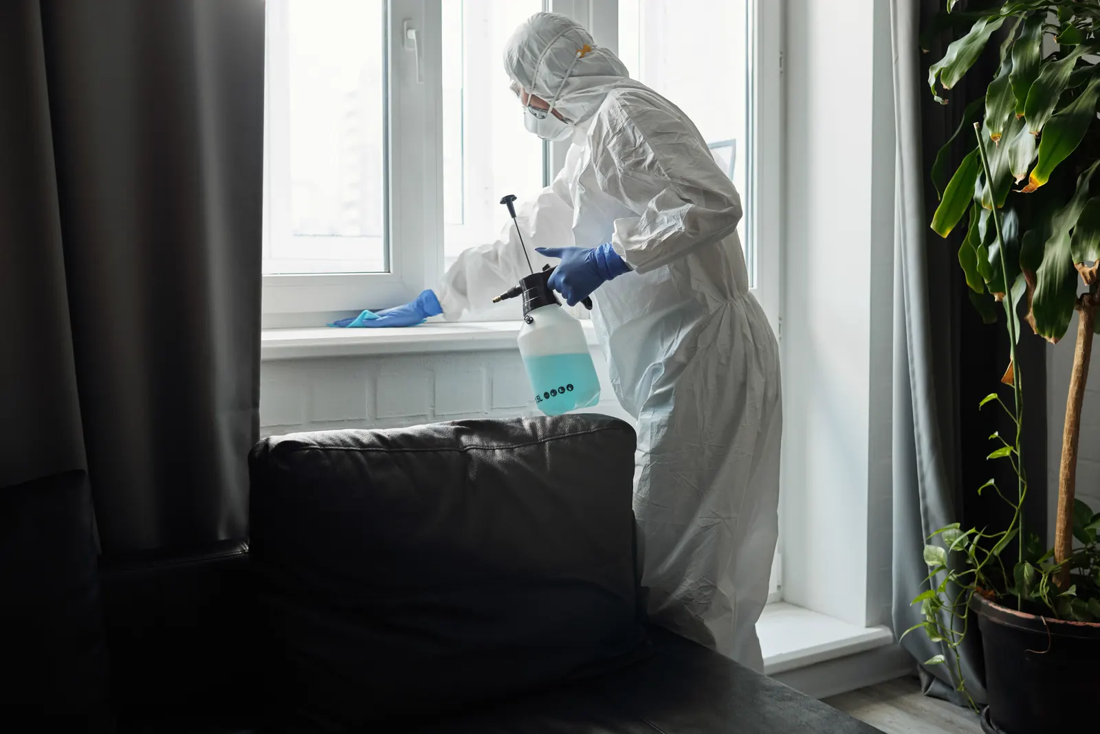 Cleaner wiping a glass window.