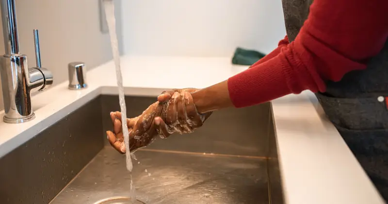 Close-up of hands being washed under a stainless steel faucet with running water.