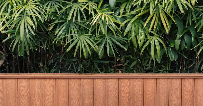 Lush green tropical plants with long leaves above a vertical wooden fence.