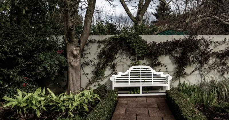 White garden bench surrounded by lush greenery and bare trees, offering a peaceful winter retreat.