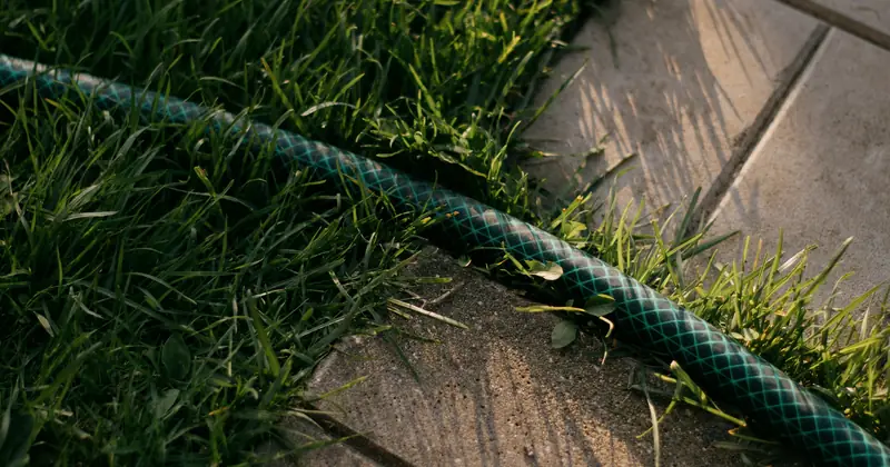 Detailed shot of a garden hose on green grass beside tiles, casting shadows.