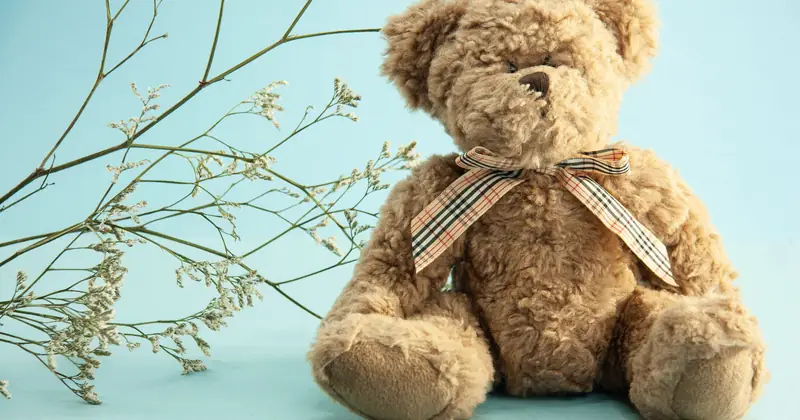 Cute fluffy stuffed teddy bear placed near thin sprigs of Gypsophila on blue background