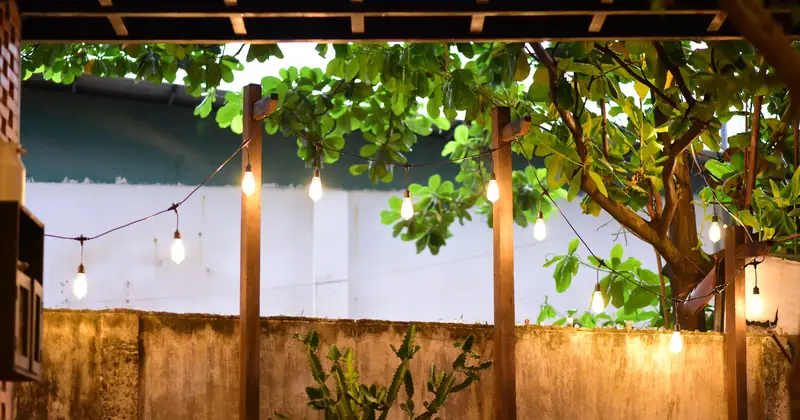 Warm string lights illuminate a backyard with lush foliage, creating a cozy outdoor ambiance.