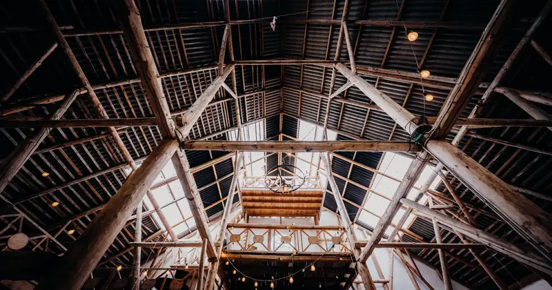A dramatic view inside a rustic barn showcasing wooden beams and steel framework.